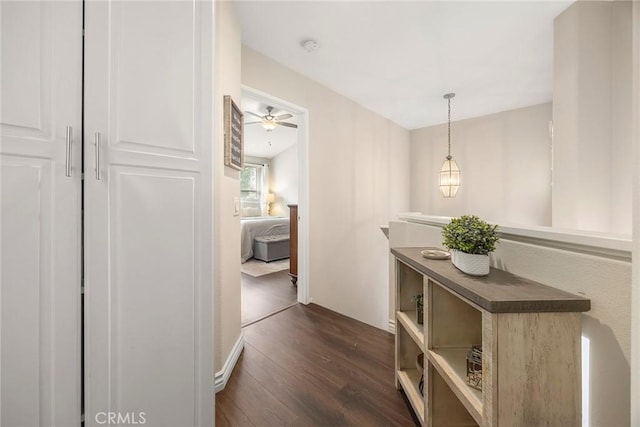 hallway featuring dark wood-type flooring