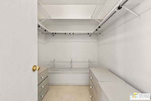 view of spacious closet