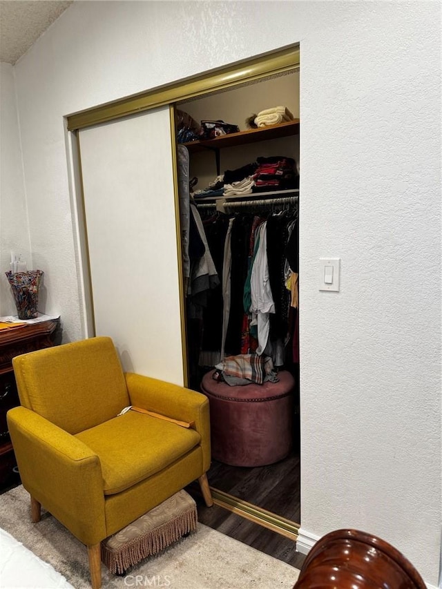 view of closet