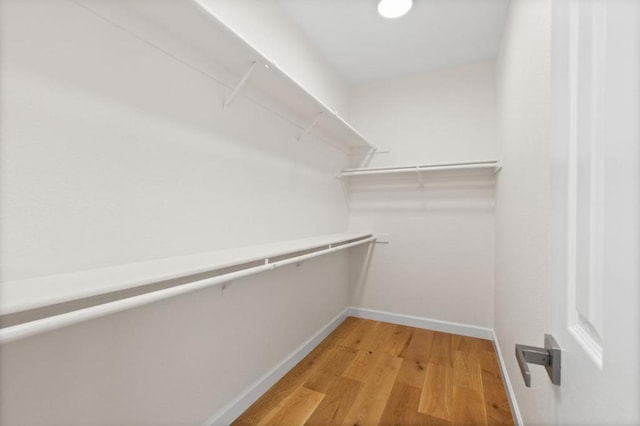 walk in closet featuring light hardwood / wood-style floors