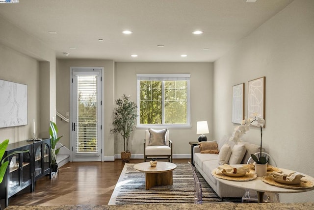 living area with dark wood-type flooring and a healthy amount of sunlight