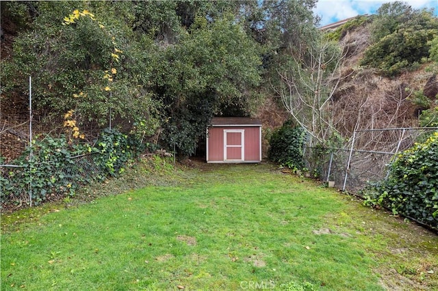 view of yard with a storage shed