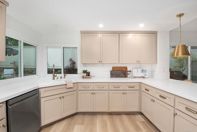 kitchen with a healthy amount of sunlight, light countertops, and stainless steel dishwasher