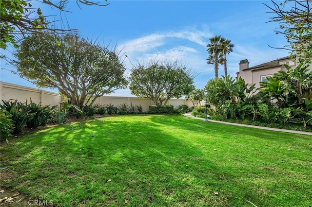 view of yard with a fenced backyard