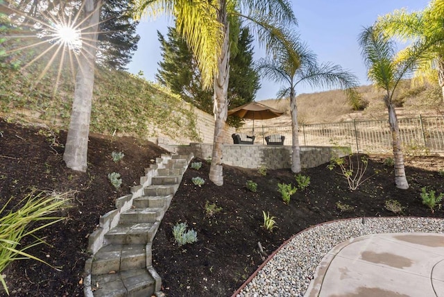 view of yard featuring a patio