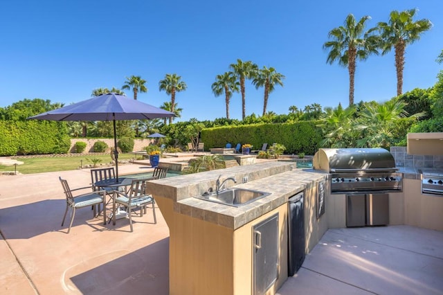 view of patio / terrace with sink, a grill, and exterior kitchen