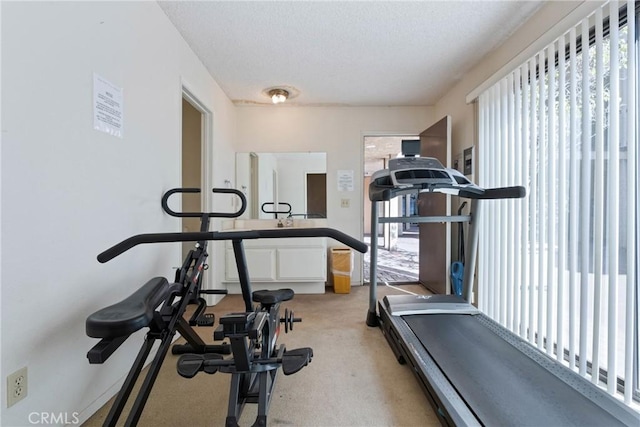 exercise area featuring light carpet and plenty of natural light