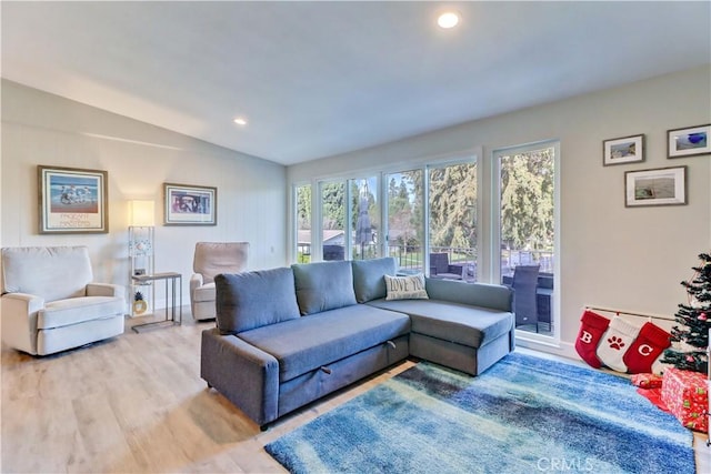 living room featuring lofted ceiling and light wood-type flooring