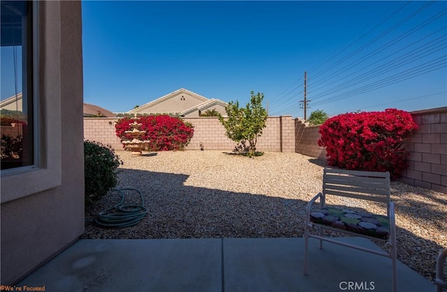 view of yard with a fenced backyard and a patio