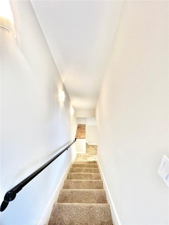 stairs with carpet floors