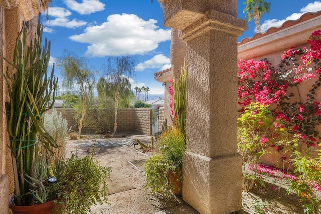 view of yard with a patio area