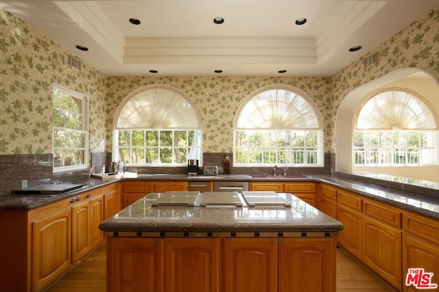 kitchen with a raised ceiling, plenty of natural light, a center island, and sink