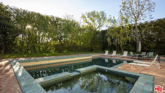 view of swimming pool with a patio