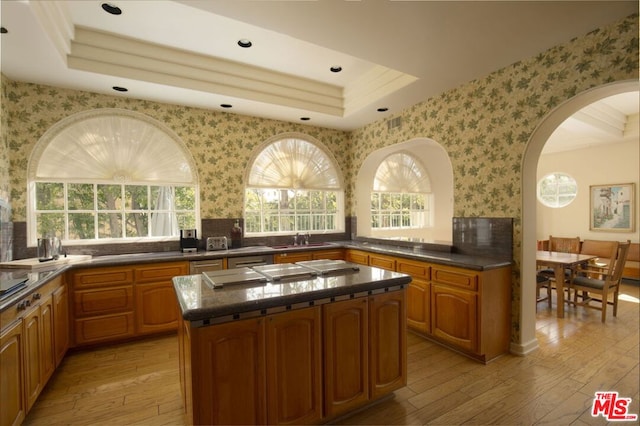 kitchen with light hardwood / wood-style flooring, plenty of natural light, and a kitchen island