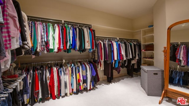 spacious closet with light colored carpet