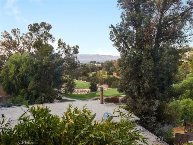 view of community with a mountain view