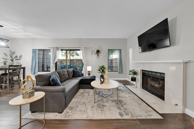 living room with a premium fireplace and wood-type flooring