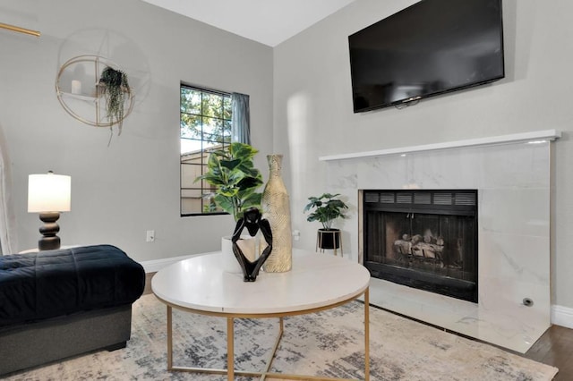 living room with hardwood / wood-style flooring and a fireplace