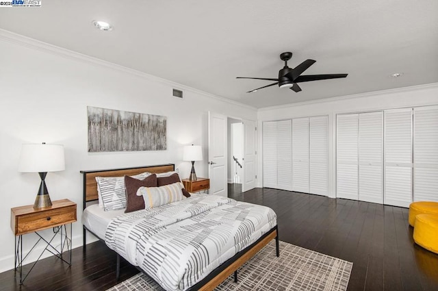 bedroom with ornamental molding, dark hardwood / wood-style floors, two closets, and ceiling fan