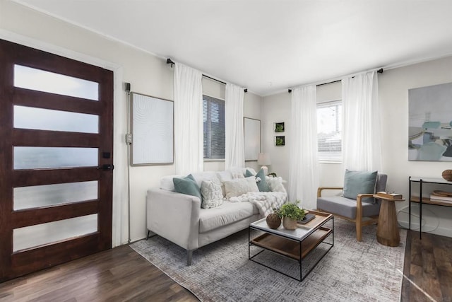 living room featuring dark wood-type flooring