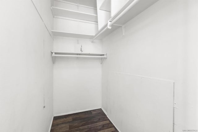 walk in closet featuring dark hardwood / wood-style flooring