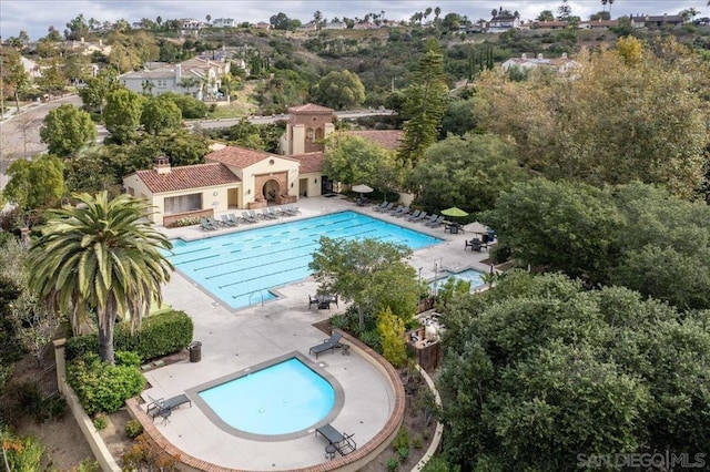 view of swimming pool featuring a patio area