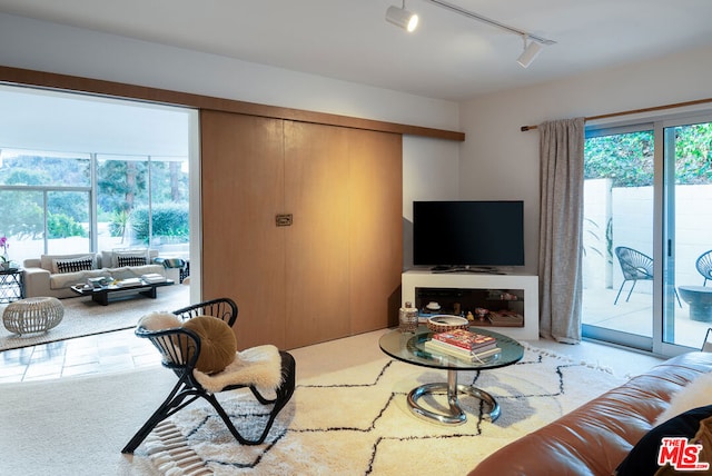 carpeted living room with track lighting