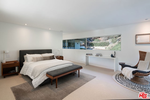 view of carpeted bedroom