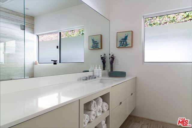 bathroom featuring a healthy amount of sunlight and vanity