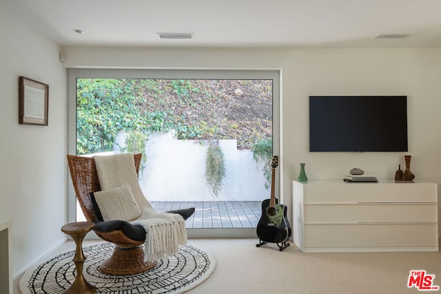 sitting room with carpet