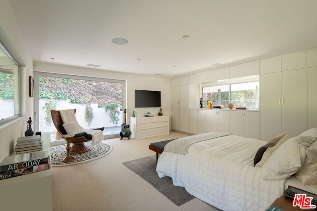 bedroom with light carpet