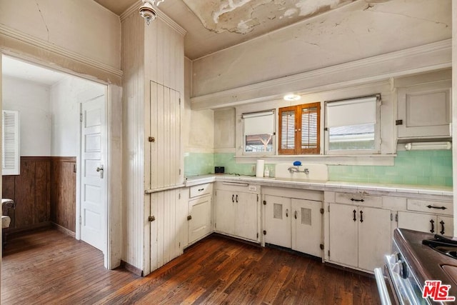 kitchen featuring tasteful backsplash, dark hardwood / wood-style floors, stainless steel range oven, and white cabinets