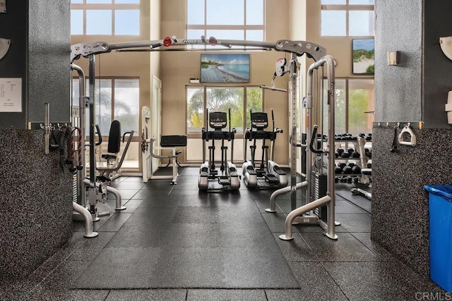 exercise room featuring a high ceiling