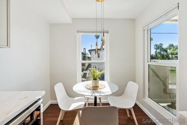 dining room featuring plenty of natural light and dark hardwood / wood-style floors