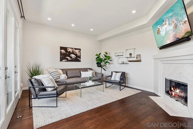 living room featuring dark hardwood / wood-style flooring and a premium fireplace