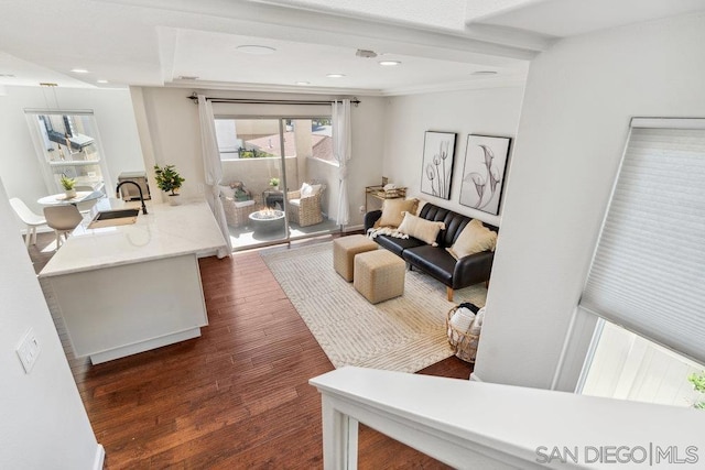 living room featuring sink and dark hardwood / wood-style flooring