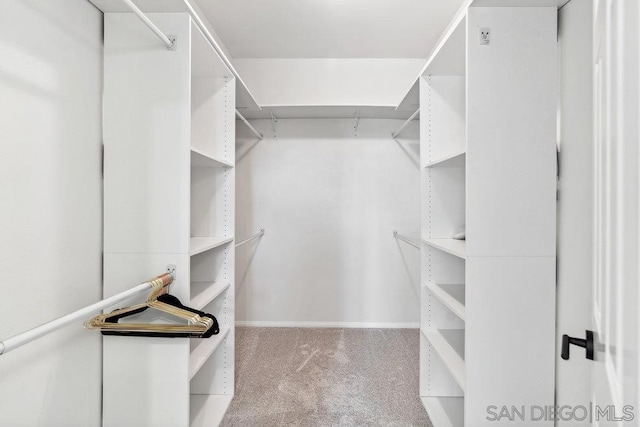 spacious closet with light colored carpet