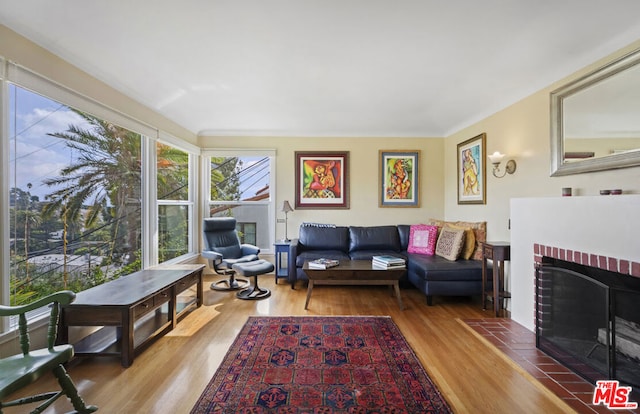 living room featuring a fireplace and hardwood / wood-style floors