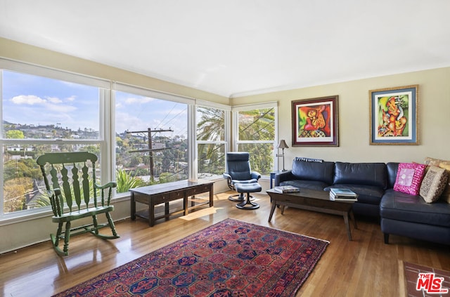 living room with wood-type flooring