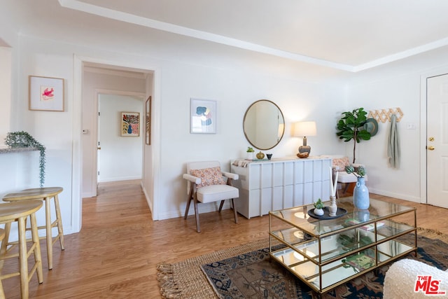 living room featuring light hardwood / wood-style flooring