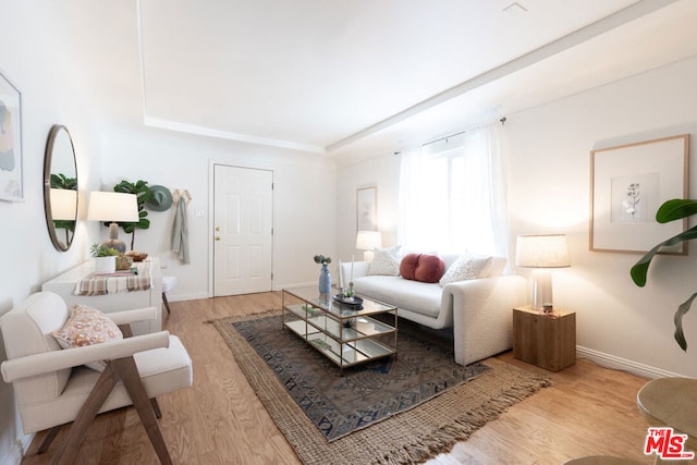 living room with light wood-type flooring and a tray ceiling