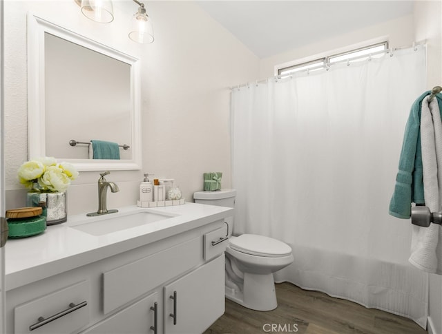 bathroom with vanity, wood-type flooring, and toilet