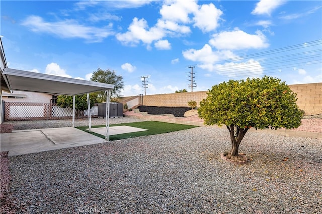 view of yard with a patio area