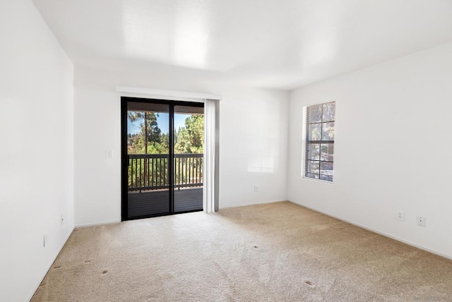 empty room featuring carpet floors