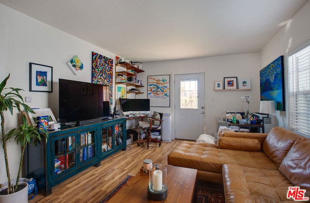 living room with hardwood / wood-style flooring