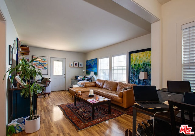 living room featuring a healthy amount of sunlight and light wood-type flooring