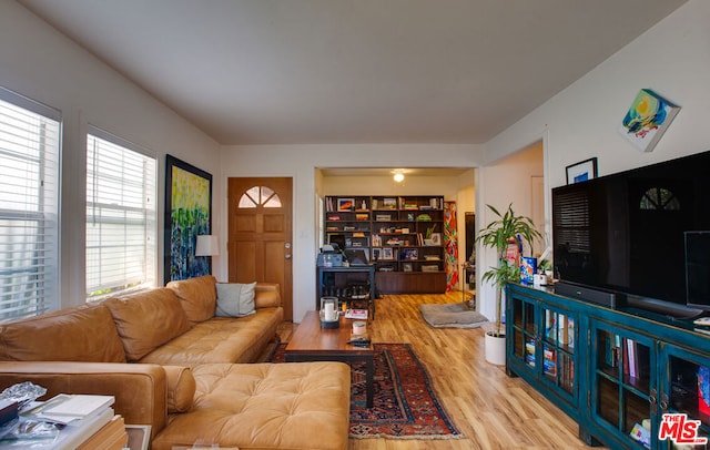 living room with wood-type flooring