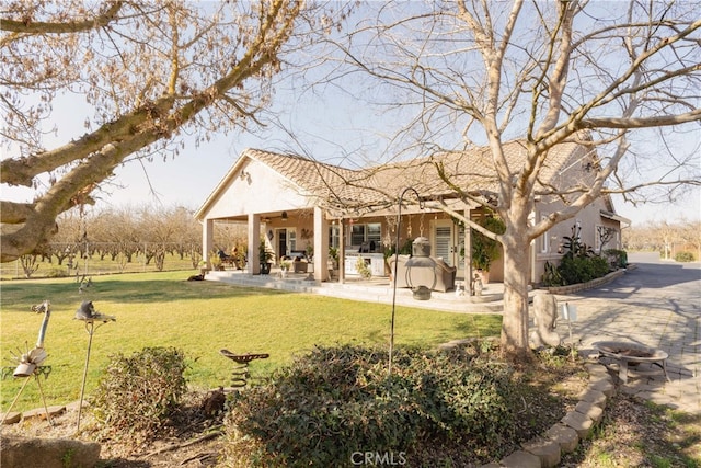 back of house featuring a yard and a patio area