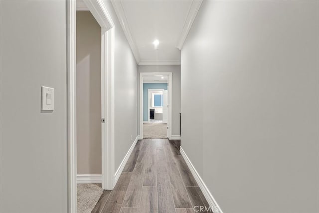 hall featuring hardwood / wood-style flooring and ornamental molding