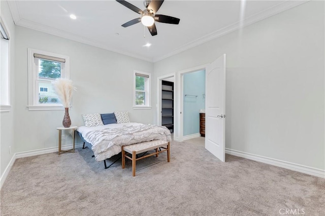 bedroom featuring a walk in closet, light carpet, ornamental molding, a closet, and ceiling fan